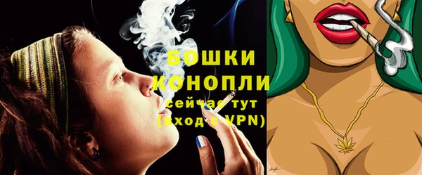 эйфоретик Калининец