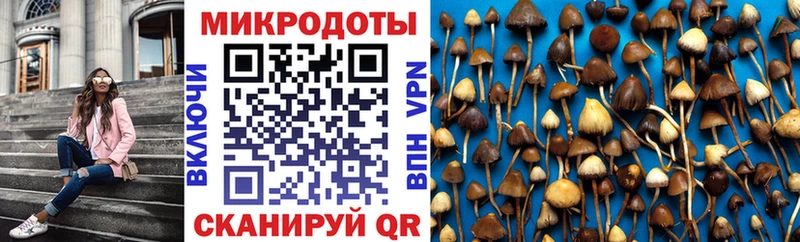 Псилоцибиновые грибы мицелий  Новочебоксарск 